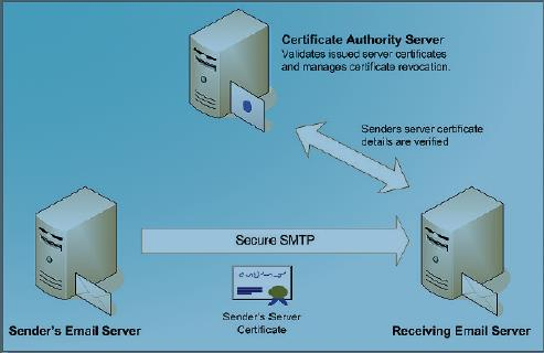 ο διακομιστής αλληλογραφίας του αποστολέα συνδέεται με τον διακομιστή αλληλογραφίας του παραλήπτη, τα πιστοποιητικά ανταλλάσσονται πριν από η κρυπτογραφημένη σύνδεση εγκατασταθεί.