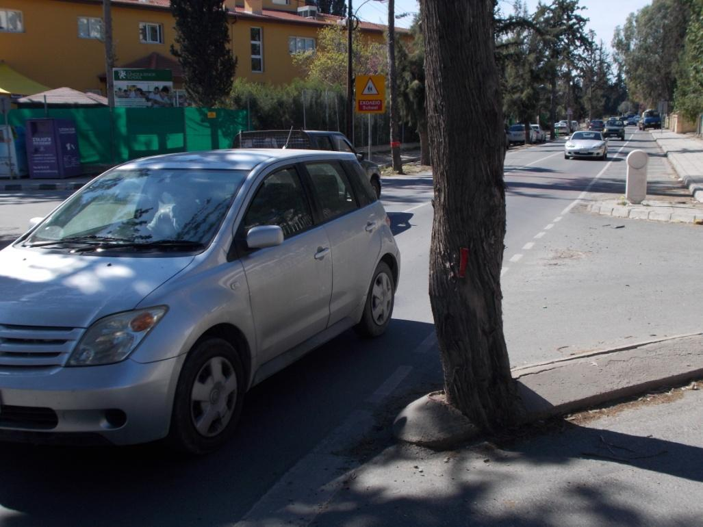 Παρουσία υφιστάμενων δέντρων με χοντρούς κορμούς στο όριο της