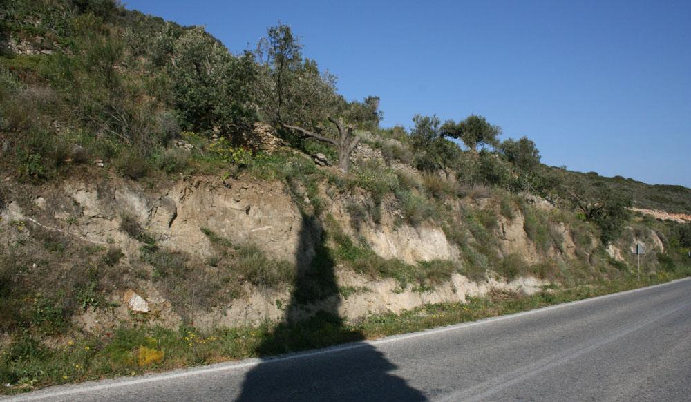 Εικ. 19: Δημιουργία κοκκινοχώματος (terra rossa) στην περιοχή του Αρχαίου Λατομείου των «Νυμφών» νοτιανατολικά του Μαραθιού. 5.