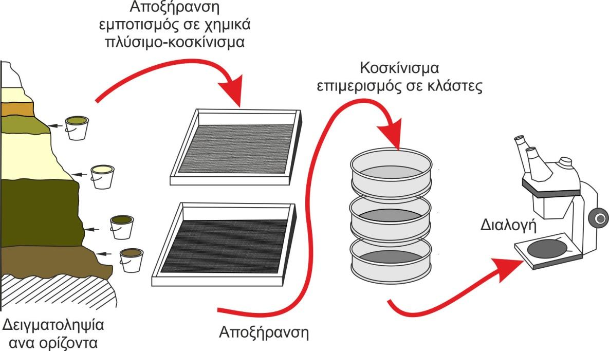 Σε πρώτη φάση, ο εντοπισμός ενός απολιθωματοφόρου κοιτάσματος απαιτεί την ορθή και ακριβή ένταξή του στο χώρο αλλά και στη στρωματογραφική διαδοχή της περιοχής μελέτης, ώστε τα αποτελέσματα της