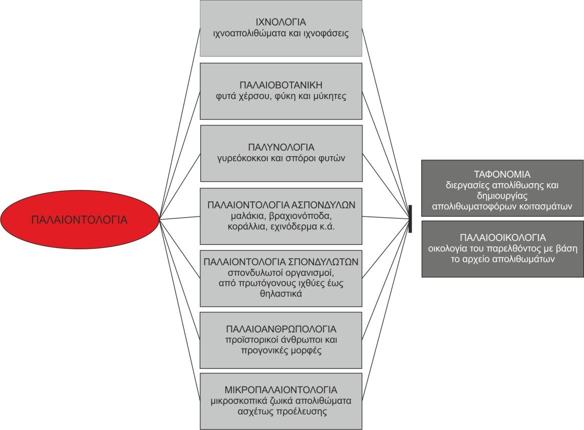 et al. 2003).