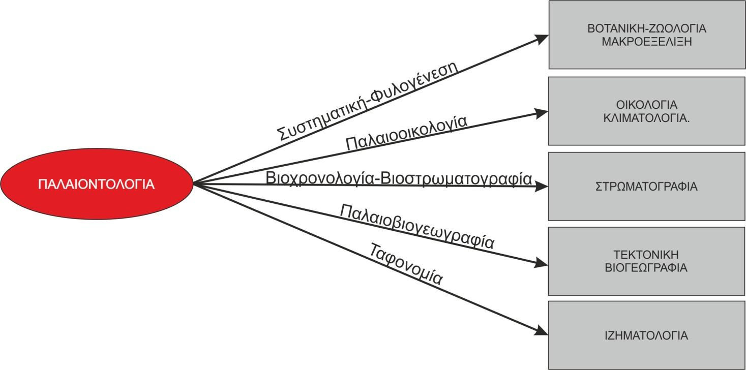 Σπονδυλωτών (Vertebrate Paleontology).