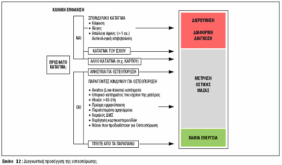 Η οστεοπόρωση αποτελεί από την πλευρά της κλινικής συμπτωματολογίας συνήθως ένα σιωπηλό νόσημα και η αντιμετώπισή της προϋποθέτει την έγκαιρη διάγνωση του ατόμου που διατρέχει κίνδυνο για την