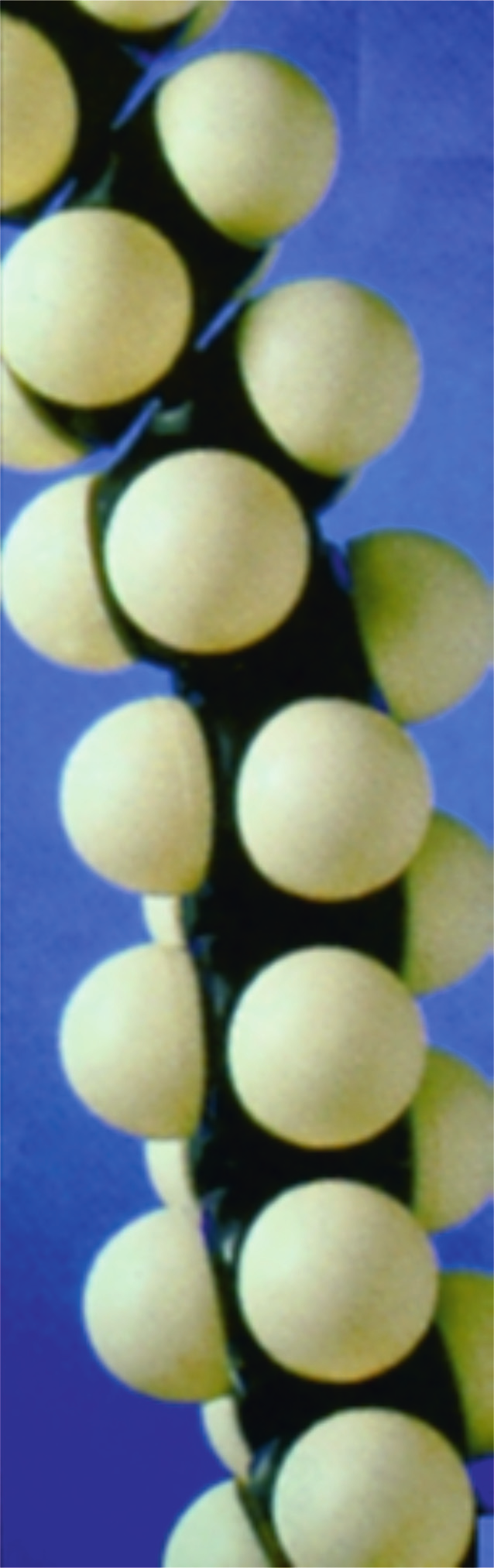 Απεικόνιση πολυαιθυλενίου με μοριακό μοντέλο σε συμπαγή μορφή.