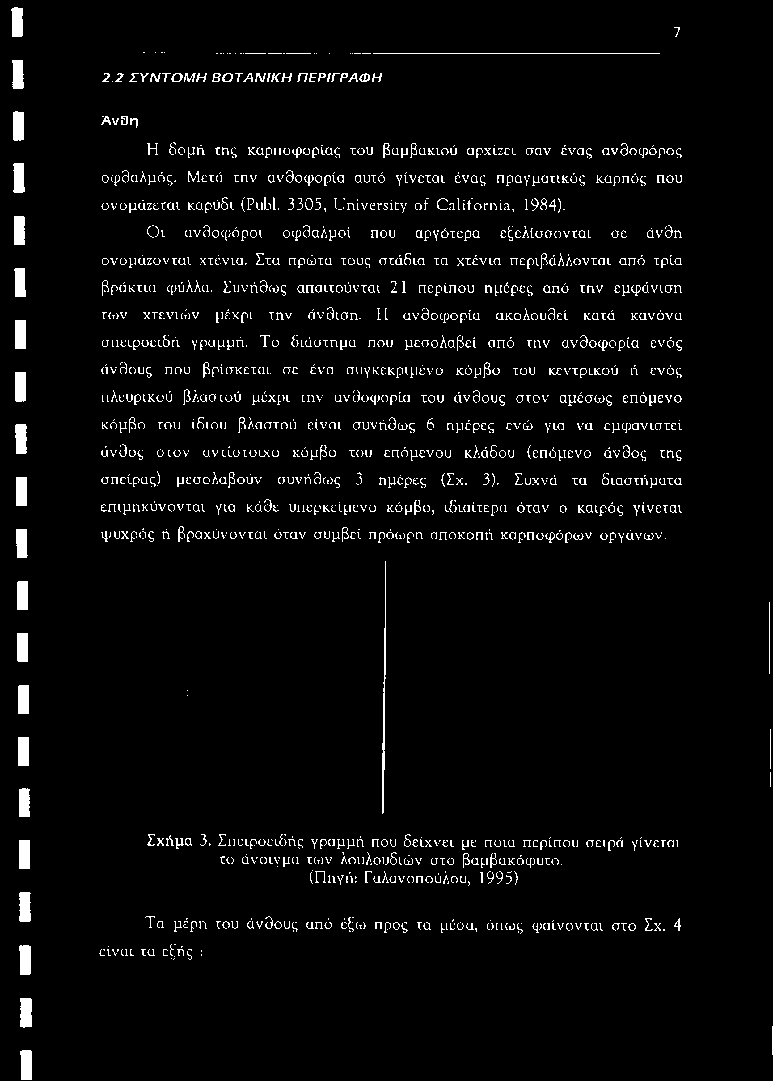 7 2.2 ΣΥΝΤΟΜΗ ΒΟΤΑΝΙΚΗ ΠΕΡΙΓΡΑΦΗ Άνθη Η δομή της καρποφορίας του βαμβακιού αρχίζει σαν ένας ανθοφόρος οφθαλμός. Μετά την ανθοφορία αυτό γίνεται ένας πραγματικός καρπός που ονομάζεται καρύδι (Publ.
