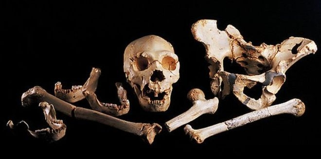 Τα κυριότερα απολιθώματα του Ανθρώπου της Χαϊδελβέργης: Ευρώπη Η Ευρώπη έχει να επιδείξει την πιο πολυάριθμη συλλογή απολιθωμένων ανθρωπογονικών της Μέσης Πλειστόκαινου από οποιαδήποτε άλλη περιοχή
