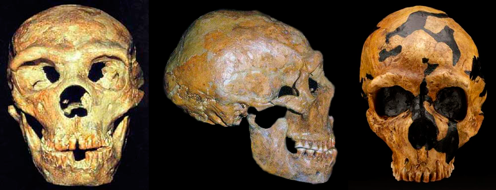 Τα κυριότερα απολιθώματα του Ανθρώπου του Νεάντερταλ: Δυτική Ασία Στο Σπήλαιο Σανιντάρ, στα Όρη Ζάγκρος του βορειοανατολικού Ιράκ ανακαλύφθηκαν αποσπασματικοί σκελετοί εννέα ατόμων, ατόμων τέσσερα