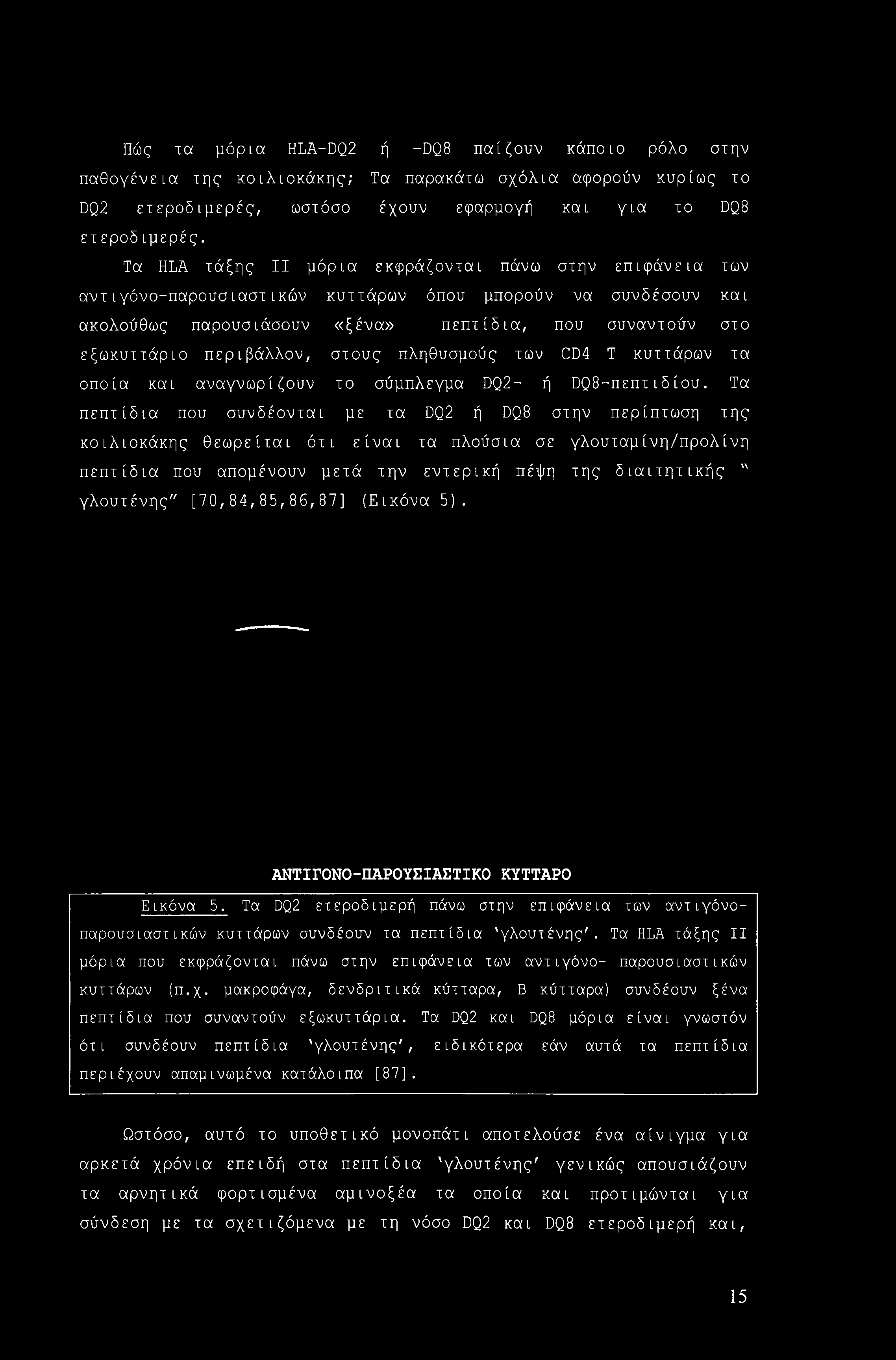 Πώς τα μόρια HLA-DQ2 ή -DQ8 παίζουν κάποιο ρόλο στην παθογένεια της κοιλιοκάκης; Τα παρακάτω σχόλια αφορούν κυρίως το DQ2 ετεροδιμερές, ωστόσο έχουν εφαρμογή κα ι για το DQ8 ετεροδιμερές.