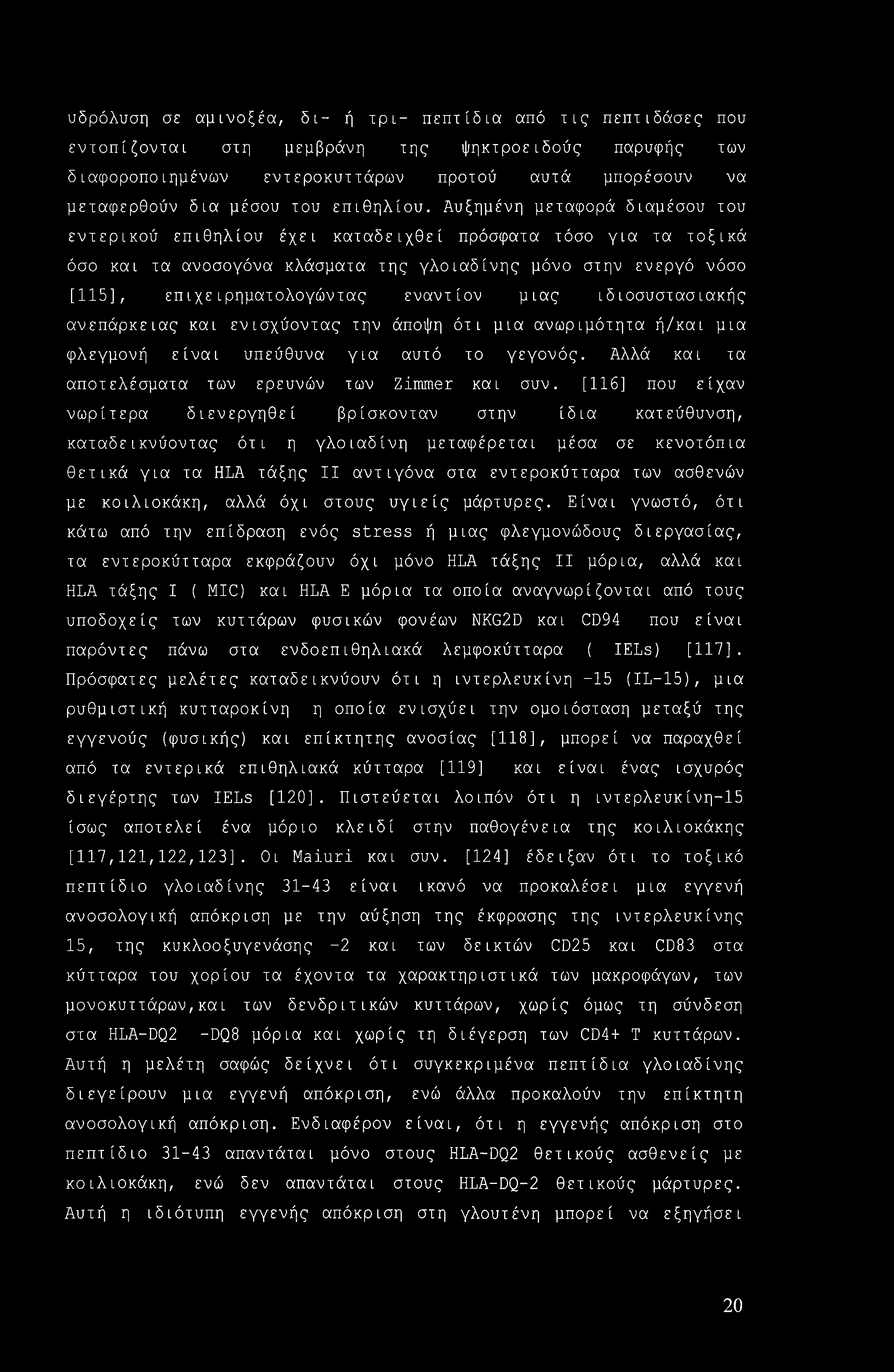 υδρόλυση σε αμινοξέα, δι- ή τρι- πεπτίδια από τις πεπτιδάσες που εντοπίζονται στη μεμβράνη της ψηκτροειδούς παρυφής των διαφοροποιημένων εντεροκυττάρων προτού αυτά μπορέσουν να μεταφερθούν δια μέσου