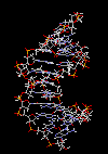 DNA (στο