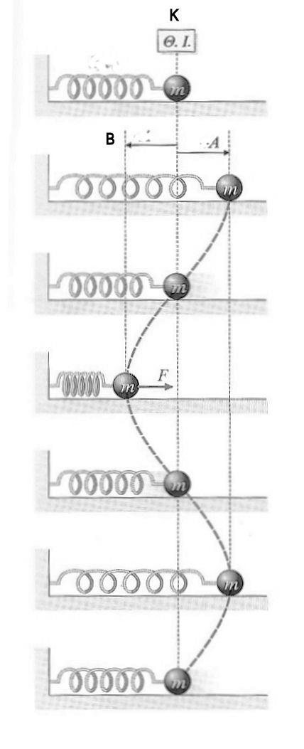 Χαρακτηριστικά μεγέθη μιας αρμονικής ταλάντωσης Στο σχήμα φαίνεται μια σφαίρα στερεωμένη στην άκρη ενός ελατηρίου το οποίο ηρεμεί στη θέση ισορροπίας Κ.