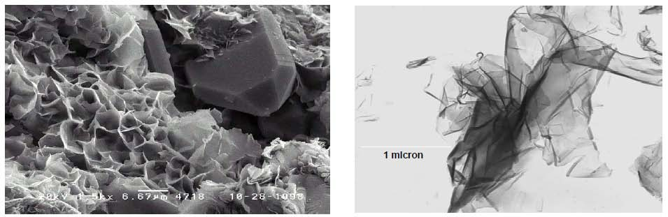 (b) Σχήμα 2.1 Εικόνες SEM, νανοσωλήνων TiO2 (α) και Si (β).