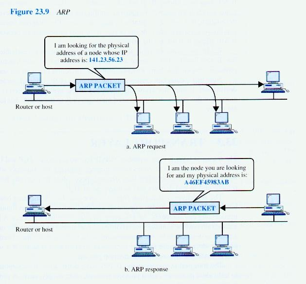 ARP 24