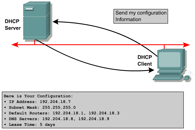 Dynamic Host