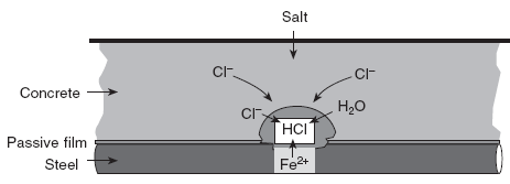 Cl - O 2, H 2 O Νερό των πόρων Fe 2+ Fe 2+ + 2Cl - FeCl 2 FeCl 2 +2H 2 O FeOH 2 +2H + +2Cl - Άνοδος Anode Fe Fe 2+ +2e - Cl - Κάθοδος Cathode Άνοδο Διάλυση του σιδήρου: 2Fe 2Fe 2+ + 4e - Απορρόφηση