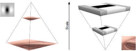 Κεφάλαιο 2 Αναπαράσταση Προτύπων 25 w = L xy(1.2) F D yy (9) F L yy (1.2) F D xy (9) F = 0.912... 0.9 (2.19) με x F να αποτελεί την Frobenius νόρμα.