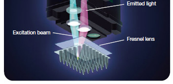 Real time PCR