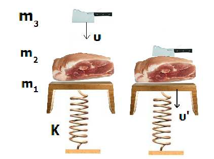 Αγανακτισµένος από την οικονοµική κατάσταση χασάπης, για να εκτονώσει τα νεύρα του, πετά µπαλτά µάζας m 3 =10 Kg προς τµήµα από µπούτι χοιρινού (κοψίδι) µάζας m 2 =10 kg, το οποίο ισορροπεί