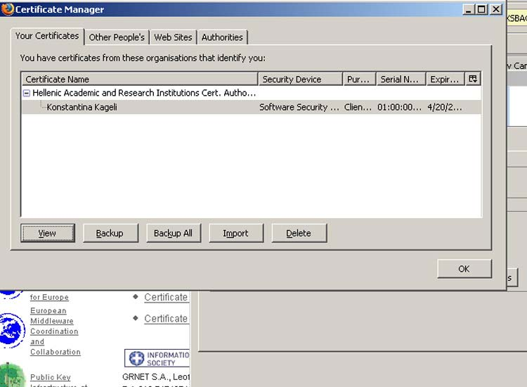 Σχήμα 5. Το πιστοποιητικό χρήστη στο browser. Για να δούμε τις λεπτομέρειες του πιστοποιητικού πατάμε το κουμπί View.