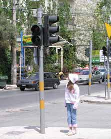 όταν κάνει πολλή ζέστη. Τα σαλιγκάρια αποφεύγουν την ξηρασία τρυπώνοντας μέσα στο χώμα και κυκλοφορούν όταν βρέχει. Τα φυτά στρέφουν τα φύλλα τους προς το φως.