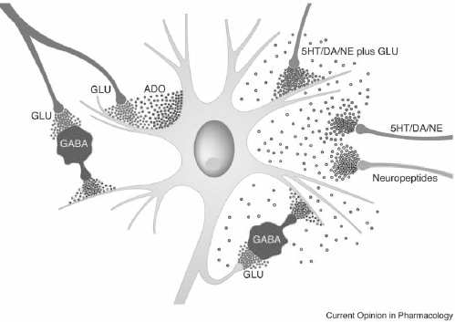 EPSP i IPSP Ekscitatorni postsinaptički potencijal (EPSP): Uzrokovan ekscitatornom sinapsom Otvaranje a + ili Ca 2+ kanala Izaziva kratku depolarizaciju Pomera membranski potencijal prema pragu