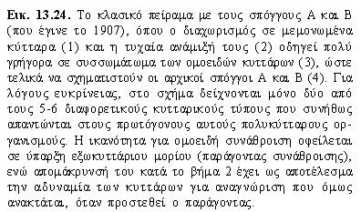 Κυτταρική προσκόλληση Η προσκόλληση όμοιων κυττάρων είναι