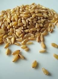 1.2 Εμπορική σημασία 3 ειδών σιταριού TRITICUM VULGARE που είναι γνωστό ως το σιτάρι που παράγεται το μαλακό αλεύρι το οποίο καλύπτει το 90% της παγκόσμιας παραγωγής και χρησιμοποιείται για την