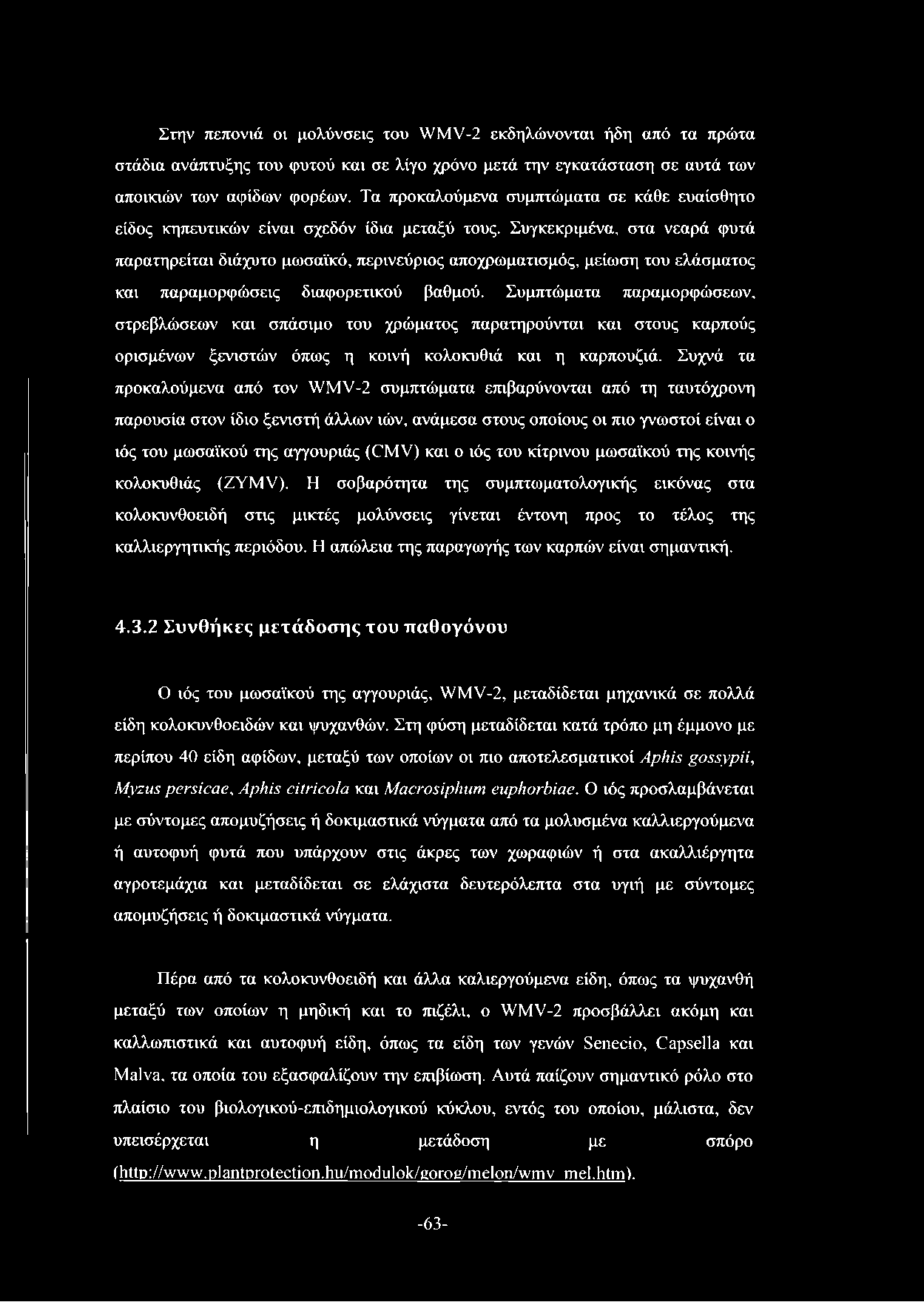 Στην πεπονιά οι μολύνσεις του WMV-2 εκδηλώνονται ήδη από τα πρώτα στάδια ανάπτυξης του φυτού και σε λίγο χρόνο μετά την εγκατάσταση σε αυτά των αποικιών των αφίδων φορέων.