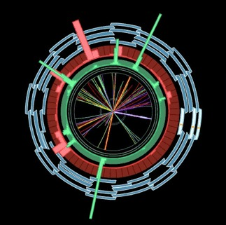 All the detectors are wrapped around the beam pipe and around the collision point: here are a schematic and less schematic