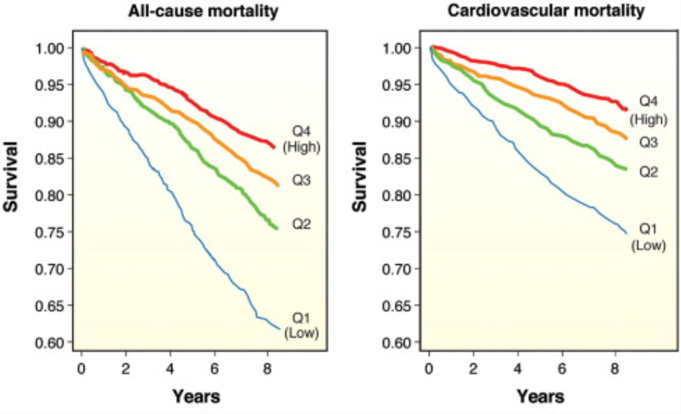 Vitamin D and All-Cause and CV Mortality Kaplan-Meier plots of (A) all-cause and (B) cardiovascular (CV) mortality in the 25-hydroxyvitamin D quartiles (Q): Q1 (blue lines), Q2 (green lines), Q3