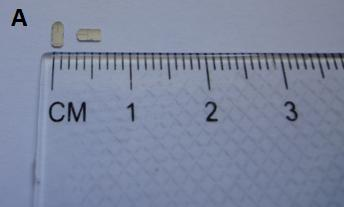 Σην κεφαλή, ςτθν οποία τοποκετείται ζνα ορκογϊνιο πλακίδιο πυριτίου (Si) μακροςκοπικϊν διαςτάςεων (τθσ τάξθσ των mm) (εικόνα 18Α) το οποίο ςτο ζνα του άκρο
