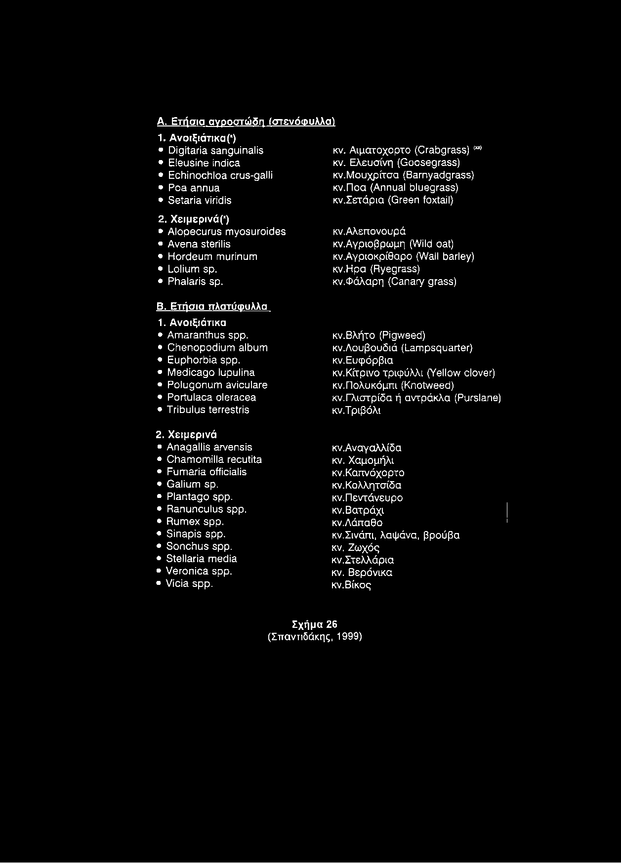 noa (Annual bluegrass) Kv.Iexdpia (Green foxtail) Kv.AAsnovoupd KV.Aypioppcopn (Wild oat) Kv.AyptOKpiBapo (Wall barley) KV.Hpa (Ryegrass) KV.OdAapr] (Canary grass) B. Ε τή σ ια π λατύφ υλλα 1.
