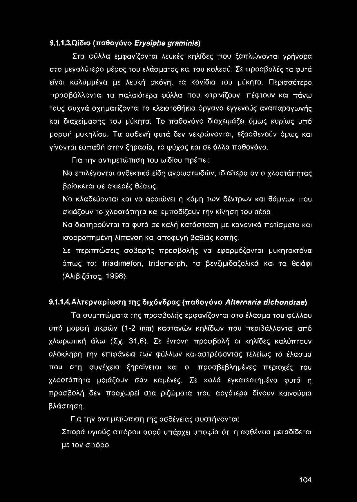 Περισσότερο προσβάλλονται τα παλαιότερα φύλλα που κιτρινίζουν, πέφτουν και πάνω τους συχνά σχηματίζονται τα κλειστοθήκια όργανα εγγενούς αναπαραγωγής και διαχείμασης του μύκητα.