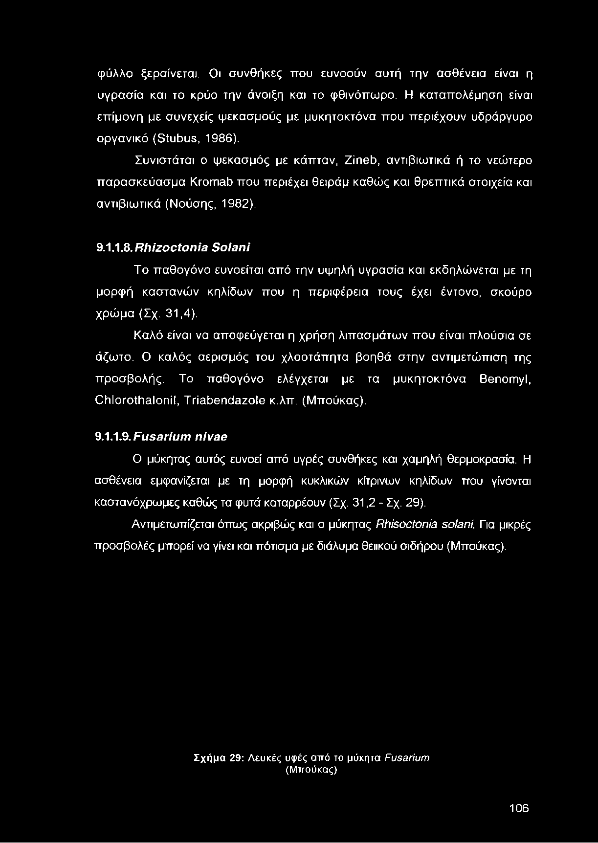 φύλλο ξεραίνεται. Οι συνθήκες που ευνοούν αυτή την ασθένεια είναι η υγρασία και το κρύο την άνοιξη και το φθινόπωρο.