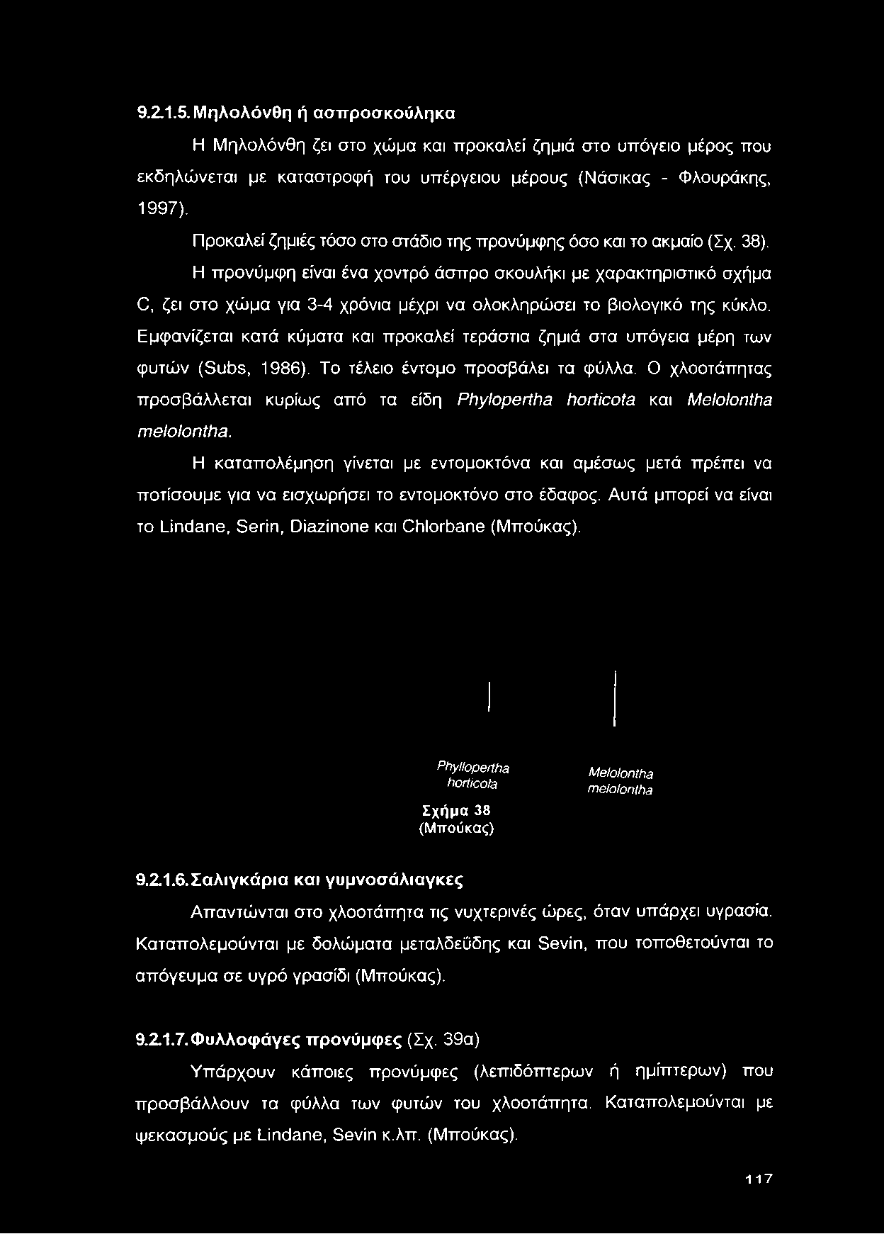 Η προνύμφη είναι ένα χοντρό άσπρο σκουλήκι με χαρακτηριστικό σχήμα C, ζει στο χώμα για 3-4 χρόνια μέχρι να ολοκληρώσει το βιολογικό της κύκλο.