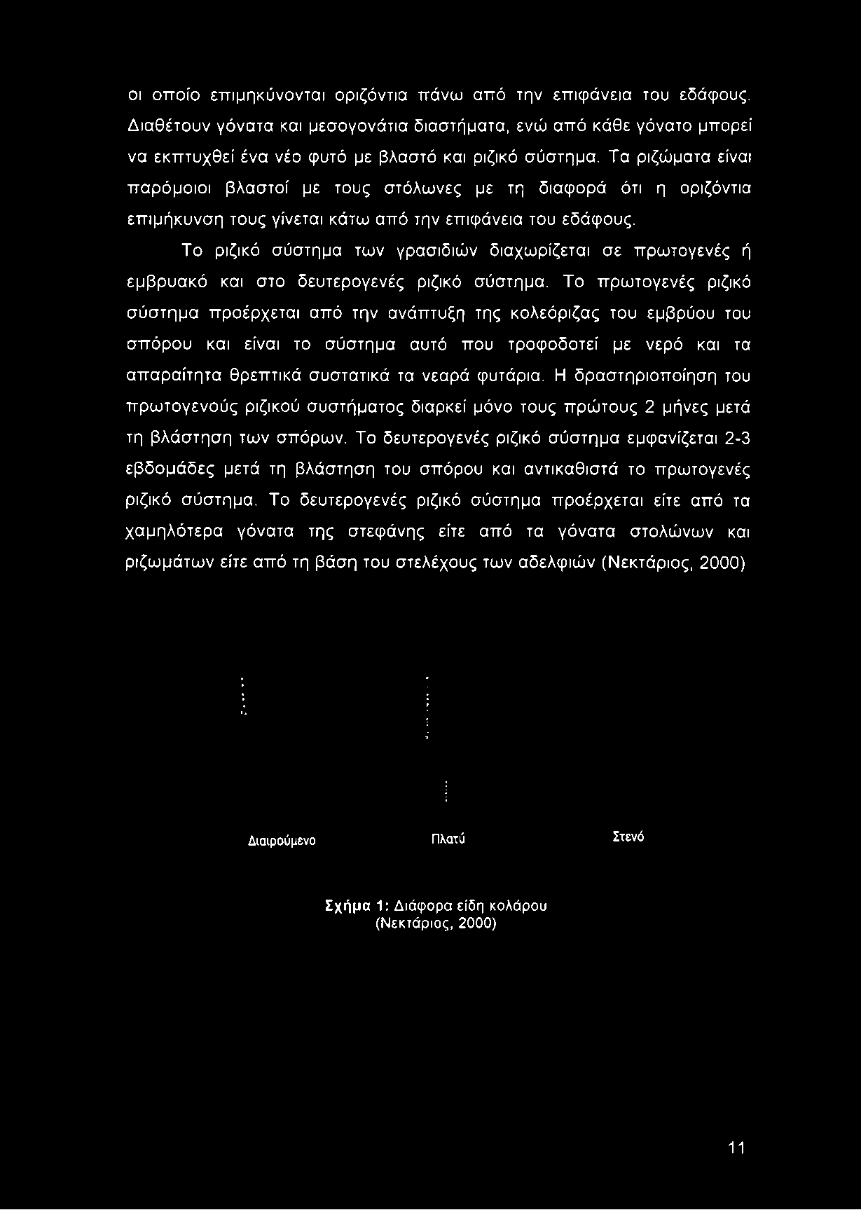 Τα ριζώματα είναι παρόμοιοι βλαστοί με τους στόλωνες με τη διαφορά ότι η οριζόντια επιμήκυνση τους γίνεται κάτω από την επιφάνεια του εδάφους.