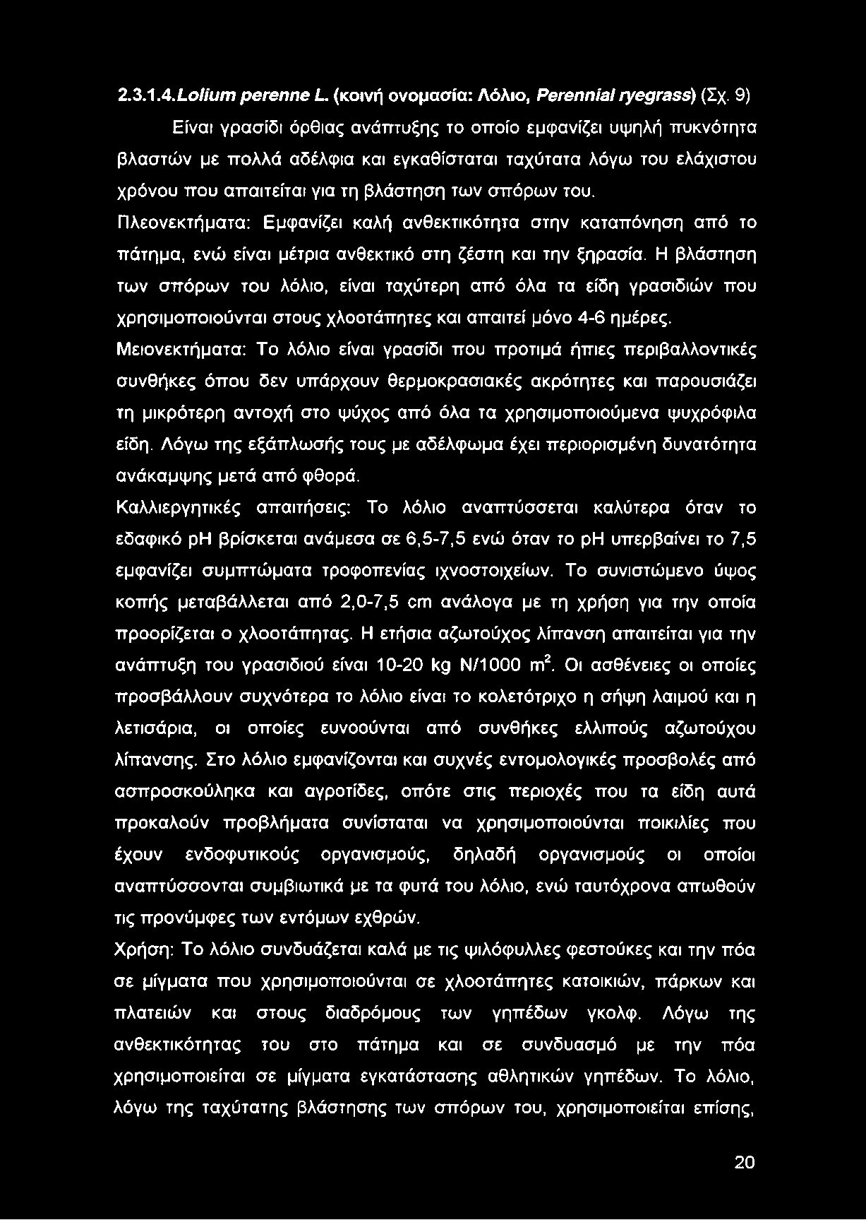 Πλεονεκτήματα: Εμφανίζει καλή ανθεκτικότητα στην καταπόνηση από το πάτημα, ενώ είναι μέτρια ανθεκτικό στη ζέστη και την ξηρασία.