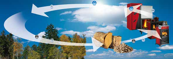 > Risparmio Risparmio economico e rispetto dell ambiente: grazie ad apparecchi tecnologicamente performanti, con l utilizzo di legna e pellet per il riscaldamento domestico può essere risparmiato il