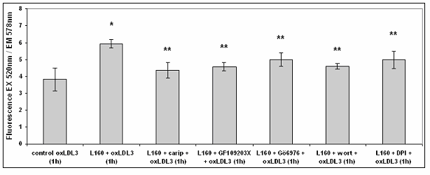 Διάγραμμα 15. Μέτρηση των επιπέδων φαγοκύττωσης των oxldl 3 από μονοκύτταρα έπειτα από επώαση με λεπτίνη με ή χωρίς αναστολείς για 1 h.