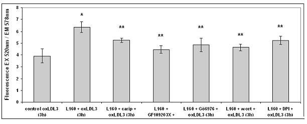 Διάγραμμα 16. Μέτρηση των επιπέδων φαγοκύττωσης των oxldl 3 από μονοκύτταρα έπειτα από επώαση με λεπτίνη με ή χωρίς αναστολείς για 3 h.
