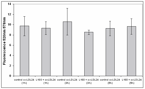 Διάγραμμα 17. Μέτρηση των επιπέδων φαγοκύττωσης των oxldl 24 από μονοκύτταρα έπειτα από επώαση με και χωρίς λεπτίνη (160 ng/ml) για 1 h, 3 h και 5 h.