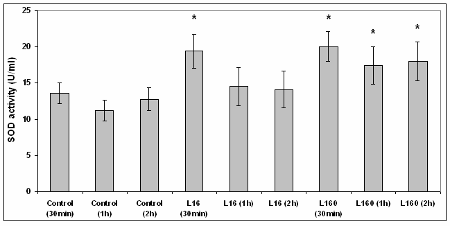Διάγραμμα 26. Μέτρηση της δραστικότητας της δισμουτάσης του σουπεροξειδίου μονοκυττάρων με και χωρίς την επίδραση λεπτίνης.