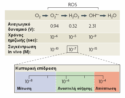 Εικόνα 9. Δραστικές μορφές οξυγόνου που παράγονται κατά την αναγωγή του μοριακού οξυγόνου.