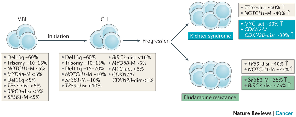 Φυσική εξέλιξη Giulia Fabbri & Riccardo Dalla- FaveraThe molecular pathogenesis of