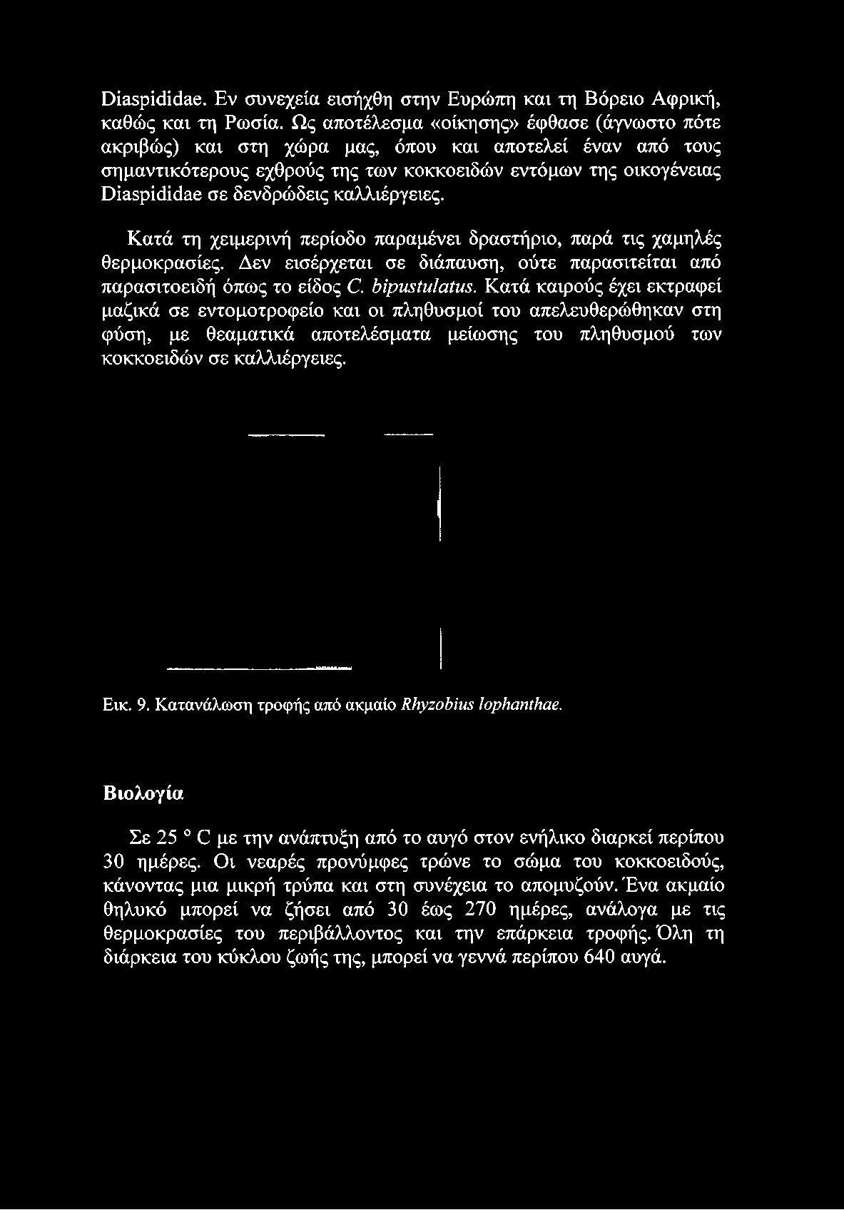 σε δενδρώδεις καλλιέργειες. Κατά τη χειμερινή περίοδο παραμένει δραστήριο, παρά τις χαμηλές θερμοκρασίες.