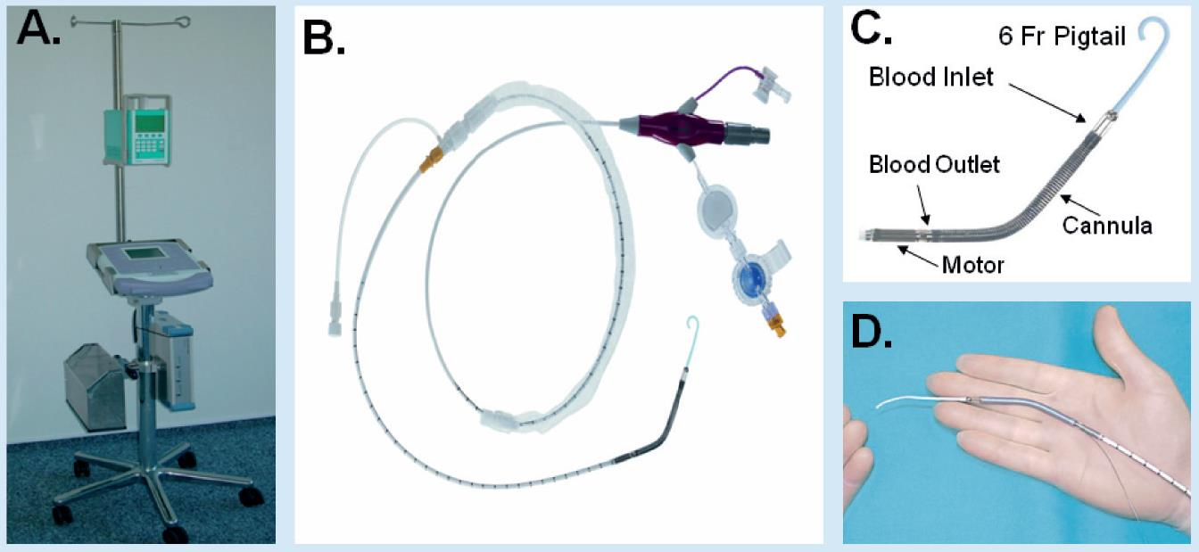 Impella 2.