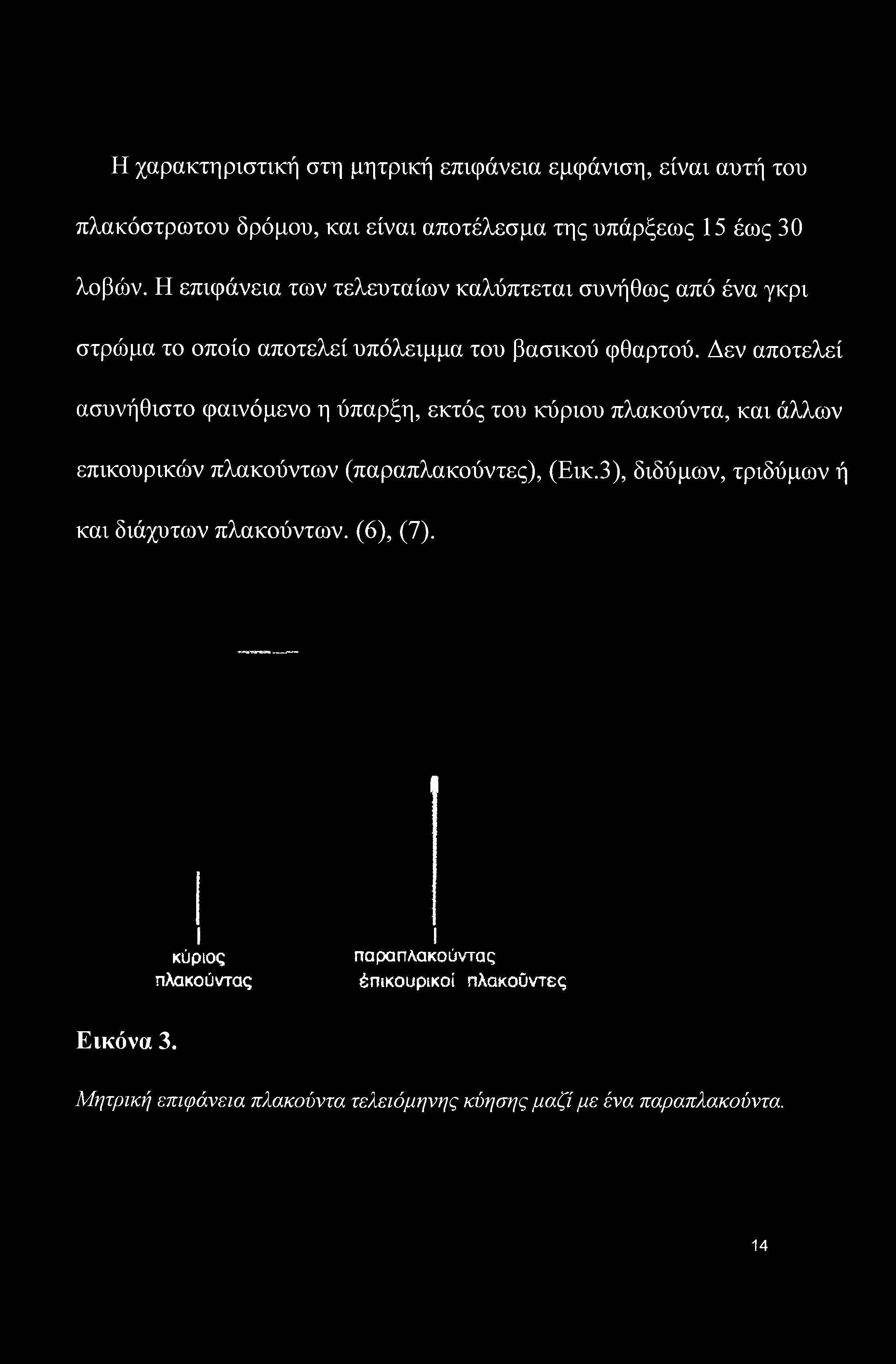 Δεν αποτελεί ασυνήθιστο φαινόμενο η ύπαρξη, εκτός του κύριου πλακούντα, και άλλων επικουρικών