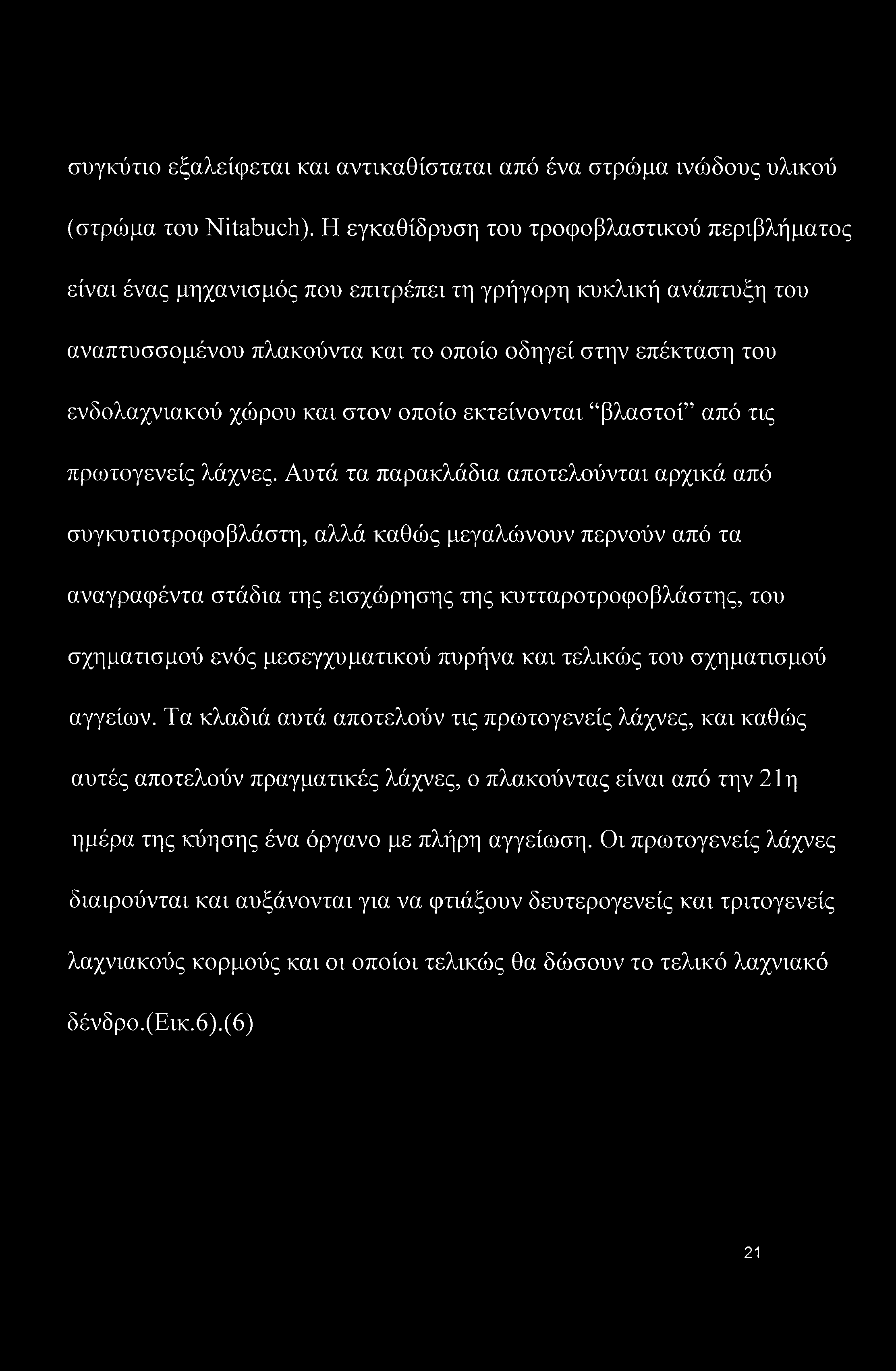 και στον οποίο εκτείνονται βλαστοί από τις πρωτογενείς λάχνες.