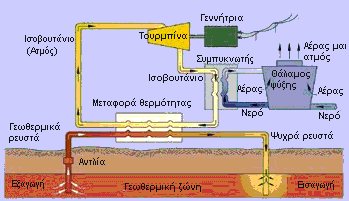 στρόβιλο. Την απαιτούμενη παραγόμενη θερμότητα του κυκλώματος την αποδίδει σε συμπυκνωτή προτού διέλθει εκ νέου από τον εναλλάκτη του γεωθερμικού ρευστού.