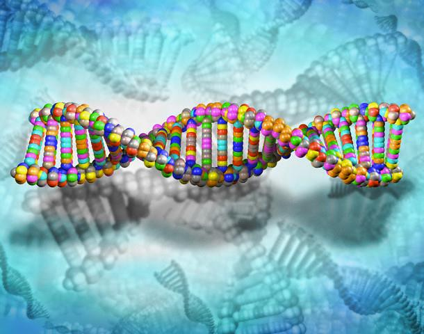 Η έμφυτη (εγγενής ή γενετική) συμπεριφορά έχει καθορισμένη δομή και οργάνωση, μεταφέρεται με το γενετικό
